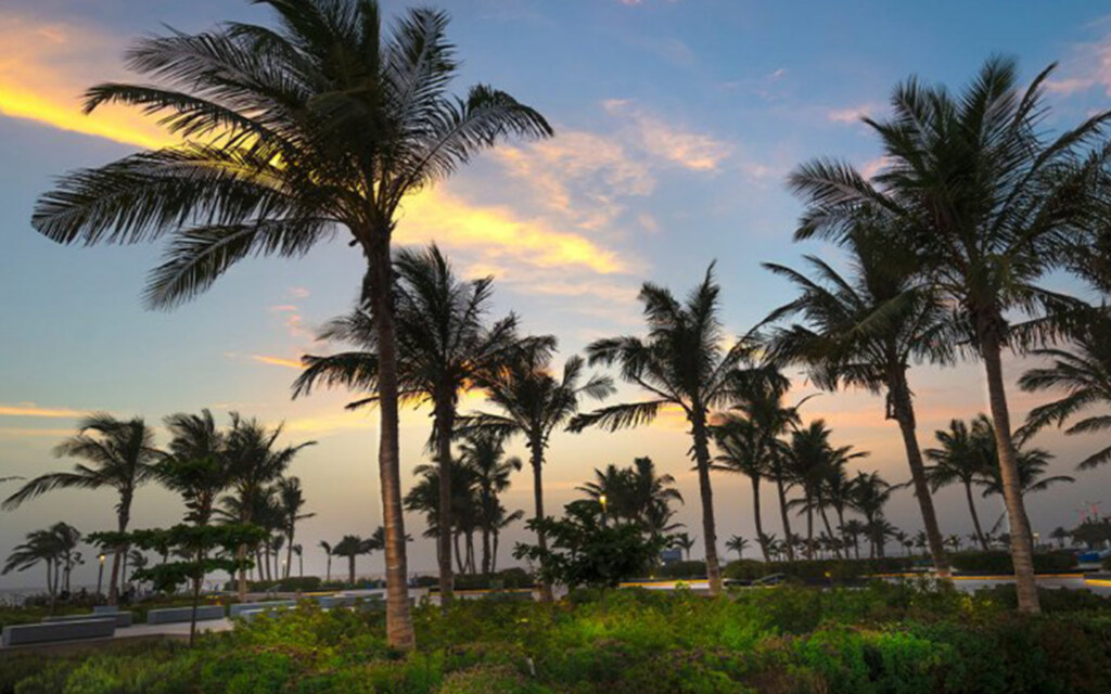 حي النخيل جدة